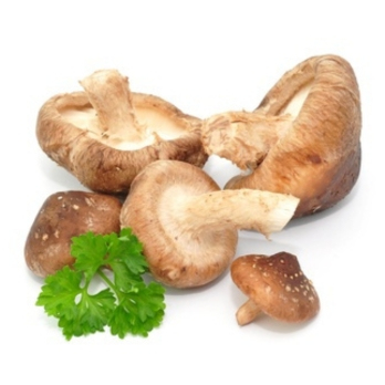 Shiitake-Pilze ca. 200g